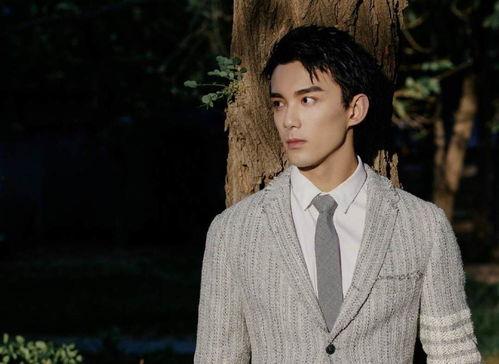 吴磊的最新消息爆料,揭秘当红小生的幕后故事与未来计划